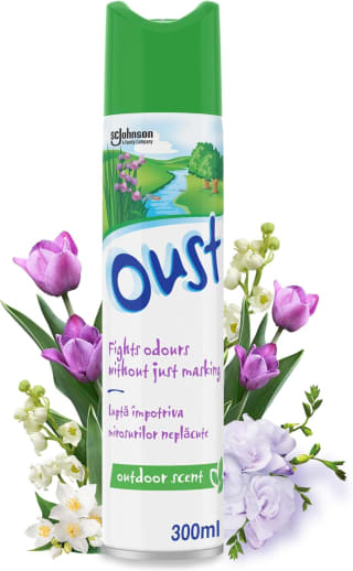 Oust Odour Eliminator Aerosol Air Freshener, Outdoor Scent 300ml - 93p / 88p S&S