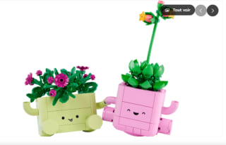 LEGO Petites plantes dansantes à 19,99€
