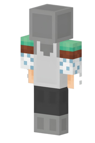 Gratis Minecraft-skin bij Ola