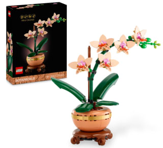 LEGO Botanicals 10343 : L’Orchidée Miniature à 19,99€