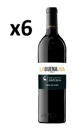 6 Botellas de LABUENAUVA 2023 por 36.8€