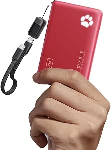INIU 45W Fast Charging Power Bank, Mini 10000mAh Portable Charger Red / Blue - Discou