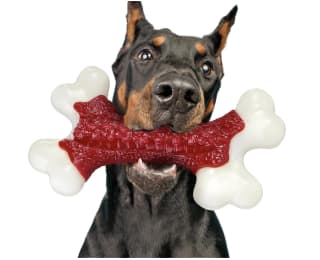 ChienBox Juguete Perro Nylon Indestructible Sabor Carne por 9,49€