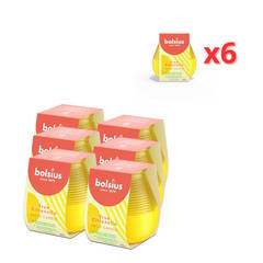 Pack: Bolsius 6xVela de Exterior Citronela en vaso de vidrio por 8.99€
