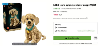 LEGO® Icons Golden retriever puppy voor €119,99 bij Intertoys