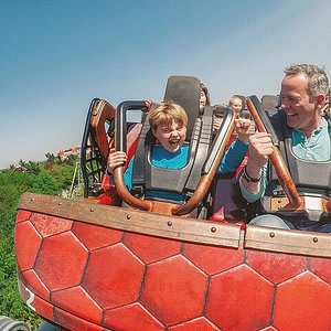 30% korting op oa Efteling-tickets of andere uitjes bij Tripadvisor