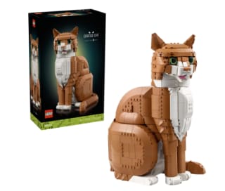 LEGO Ideas oranje kat 21376 voor €74,99 bij Dreamland