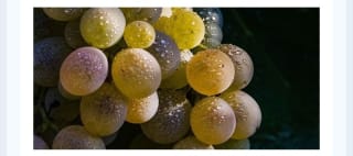 La Champaña Francesa 3 días con cena y cata desde 278€ para 2 personas.