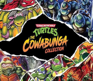 Teenage Mutant Ninja Turtles Cowabunga Collection Xbox por 10.69€