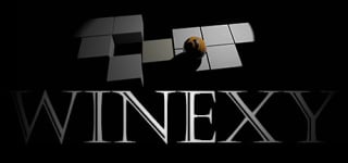 Jeu Winexy pour PC au prix de 0,79€