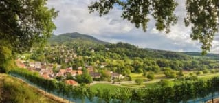 Escapada a Selva Negra: 3 días para 2 con spa y cenas,