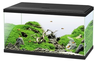 Aquarium 60 pour Poissons Équipé d'un Filtre, Consommables à 53,99€