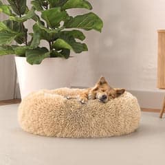 Italian Bed Linen Cama para Mascotas DREAMS, Vainilla,50x50cm por 14.99€