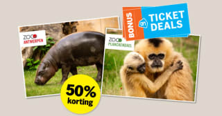 50% ticketdeal voor ZOO Antwerpen en ZOO Planckendael via de AH in België