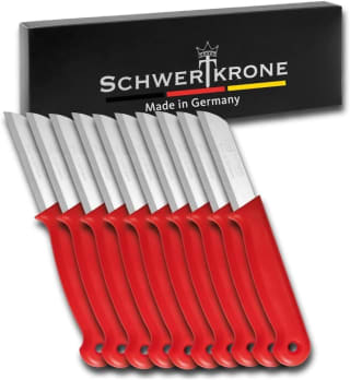 Fruitmes- en schilmesjesset Professionele kwaliteit 10 stuks voor €9,99 bij Amazon