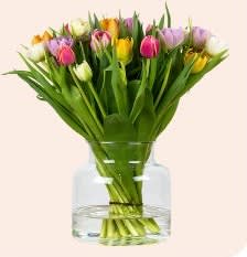 20% korting op alle tulpen bij Tulpenonline
