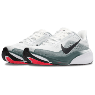 Zapatillas Nike Air Zoom Pegasus 42 por 85.50€