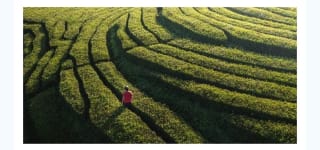 Fin de Año Azores 8 días por 899€.