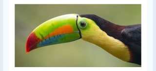 Costa Rica a tu aire 9 días desde 1508€.