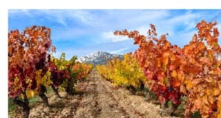 Vuelos "relámpago" por España desde 21º€ hasta 29€