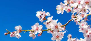 Escapada 3 días y cena para 2 en la Manch desde 145€