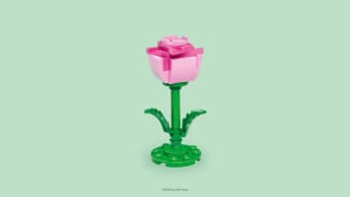 Bouw een roze LEGO® roos en neem hem mee naar huis!