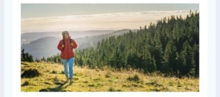 Selva Negra 3 dìas, Cenas y Spa desde 338€ para 2 personas.