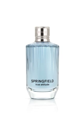 Springfield La vraie attitude à 11,19€