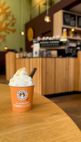 Gratis koffie en/of Furryccino als je langskomt met je huisdier bij Bagels & Beans