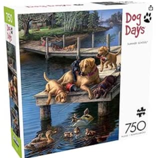 Puzzle 750 piezas Buffalo Games - James A. Meger - Summer School por 5.98€