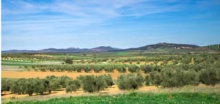 Escapada 3 días y cena para 2 en la Manch desde 145€