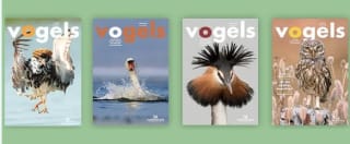 Gratis Tijdschrift Vogels via Vogelbescherming