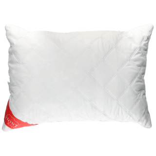 Mont Blanc traagschuim hoofdkussen voor €7,99 bij Dirk