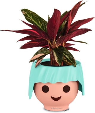 LECHUZA Playmobil OJO - Plantenbak voor €14,56 bij Amazon