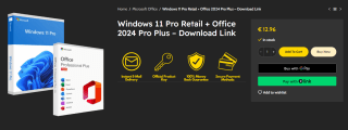 Windows 11 Pro Retail + Office 2024 Pro Plus por $63 | Bitcodes