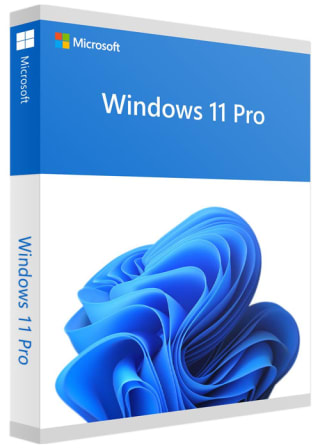 Windows 11 Professional OEM Key por 0.80€