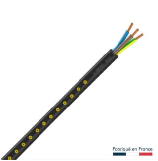 Câble électrique 3G 2.5 mm² U1000R2V, L.50 m noir à 59,90€