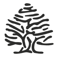 Descuento 10€ en la App de Springfield