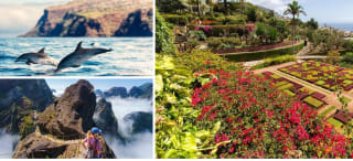 Escapada Madeira en 6 días, visitas y vuelos desde 639€