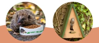 5% korting op bijna alles bij besteding van €39 of meer bij Vivara