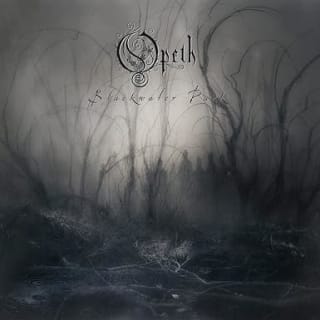 Opeth Blackwater Park Vinyl 20th Anniv por $510 | Oferta Amazon