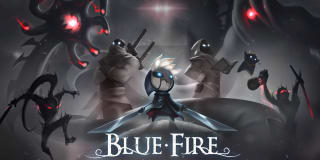 Blue Fire Nintendo Switch por 5.99€.