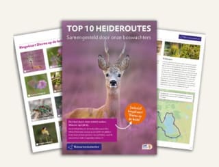 Gratis het heiderouteboekje per email van Natuurmonumenten
