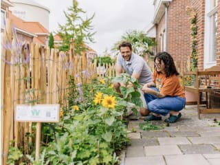 Gratis een groene voortuin voor huurders in de Gemeente Groningen
