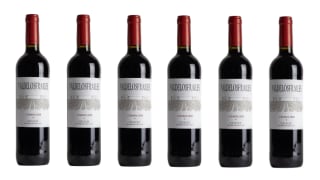 6 Botellas de Valdelosfrailes Crianza 2020 por 35€