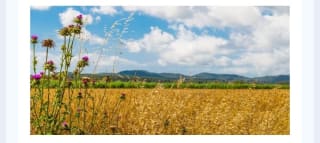 Palafrugell en Girona desde 129€ para 2 personas.