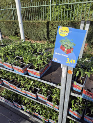 Plantjes markt bij de Lidl, plantjes vanaf 0,99 euro