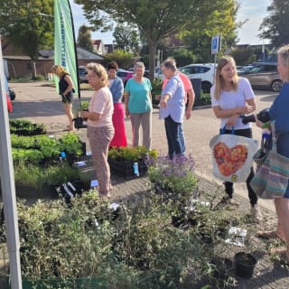 NK Tegelwippen met inruilen van je stoeptegels voor planten of plantenvouchers