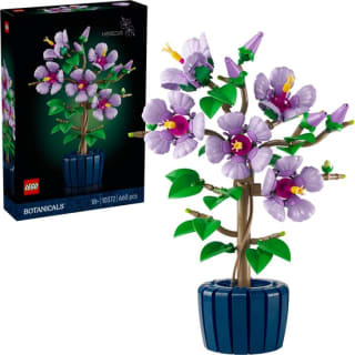 LEGO Botanicals Hibiscus - 10372 voor €42,99 met bol select