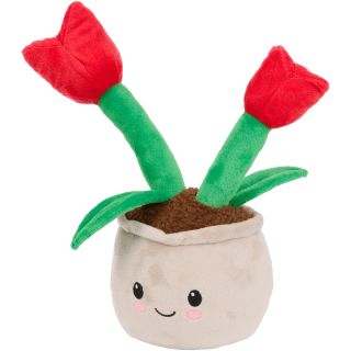 Pluchen plant in pot voor €2,99 bij de Action